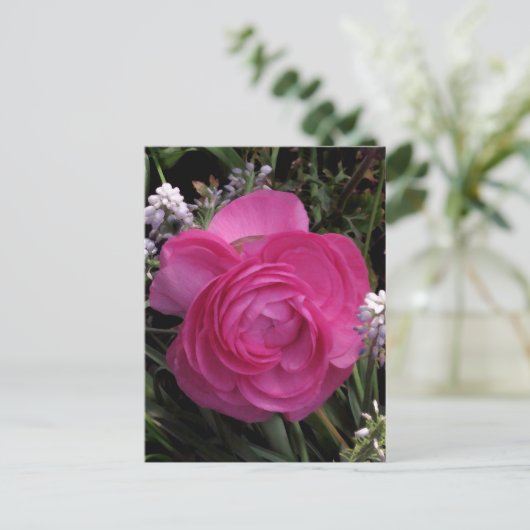 Carte Postale RoseRed... (Debout devant)