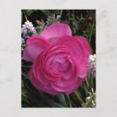 Carte Postale RoseRed... (Devant)