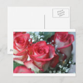 Carte Postale roses (Devant / Derrière)