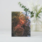 Carte Postale Roses (Debout devant)