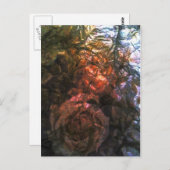 Carte Postale Roses (Devant / Derrière)