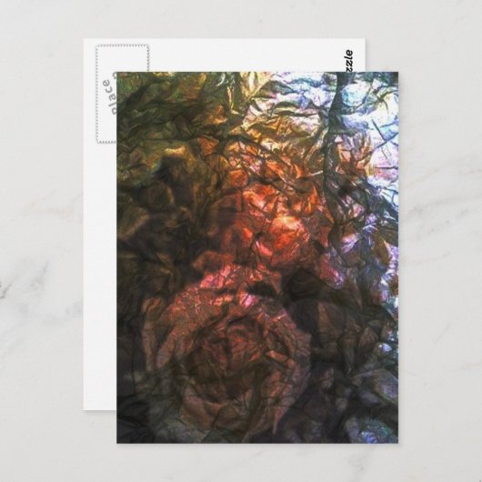 Carte Postale Roses (Devant / Derrière)