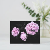 Carte Postale Roses (Debout devant)
