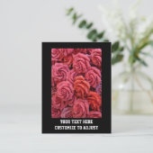 Carte Postale Roses à fleurs roses (Debout devant)