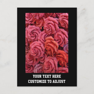 Carte Postale Roses à fleurs roses