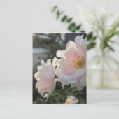 Carte Postale Roses à l'ancienne (Debout devant)