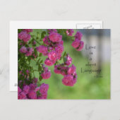 Carte Postale Roses amoureux (Devant / Derrière)