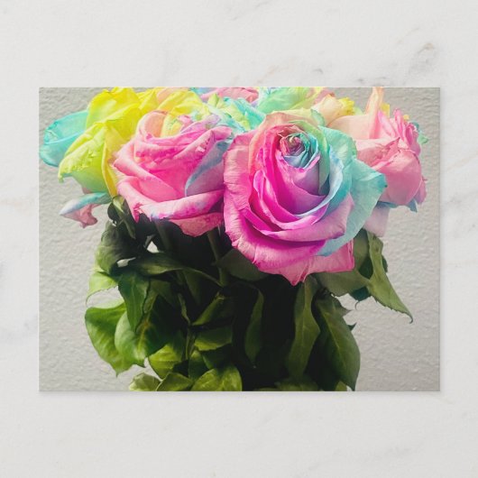 Carte Postale Roses Arc-en-ciel (Devant)