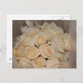 Carte postale Roses blanches (Devant / Derrière)