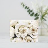 Carte postale Roses blanches (Debout devant)