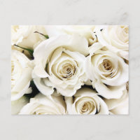 Carte postale Roses blanches