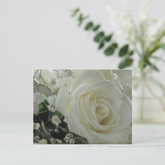 Carte Postale Roses blanches (Debout devant)
