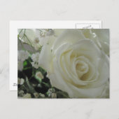 Carte Postale Roses blanches (Devant / Derrière)