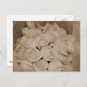 Carte Postale Roses blanches à Sepia (Devant / Derrière)
