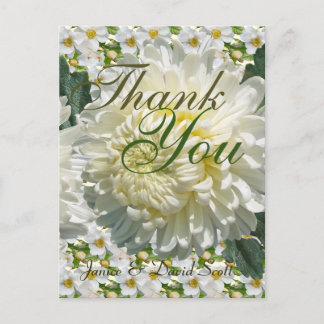 Carte Postale Roses blanches et Merci Mariage de chrysanthème