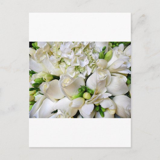 Carte Postale Roses blanches, Heureux_ (Devant)