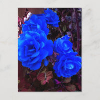 Roses bleu électrique