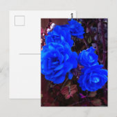 Carte Postale Roses bleu électrique (Devant / Derrière)