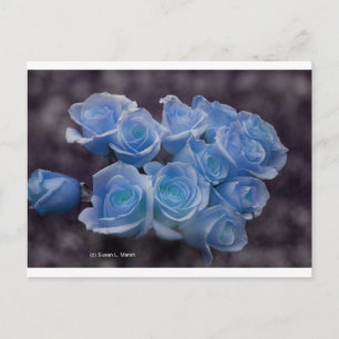 Carte Postale Roses brillants bleus contre un arrière - plan som