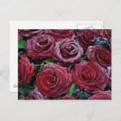 Carte Postale Roses congelés (Devant / Derrière)