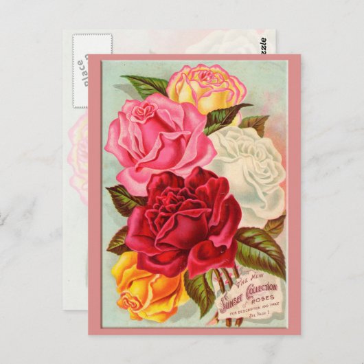 Carte Postale Roses couchers de soleil (Devant / Derrière)