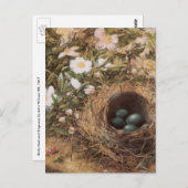 Carte Postale Roses de nids d'oiseaux et de chiens par John Will (Devant / Derrière)