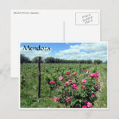 Carte Postale roses de vin mendoza (Devant / Derrière)