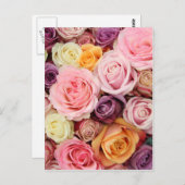 Carte Postale Roses en poudre par Therosegarden (Devant / Derrière)