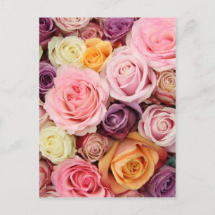 Carte Postale Roses en poudre par Therosegarden