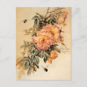 Carte Postale "Roses et bourdons" de Paul de Longpré