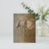 Carte Postale Roses et rouille no 3 (Debout devant)