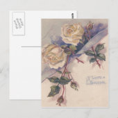 Carte Postale Roses Fleurs de Rosier Rose Blanche (Devant / Derrière)