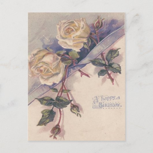 Carte Postale Roses Fleurs de Rosier Rose Blanche (Devant)