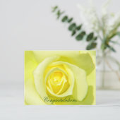 Carte Postale Roses jaunes_ (Debout devant)