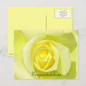 Carte Postale Roses jaunes_ (Devant / Derrière)