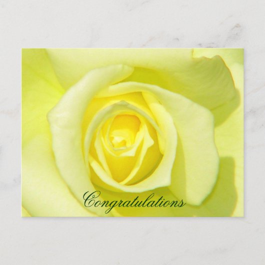Carte Postale Roses jaunes_ (Devant)