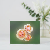 Carte Postale roses jaunes (Debout devant)