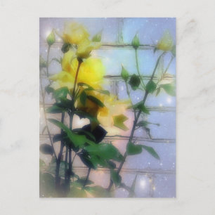 Carte Postale Roses jaunes