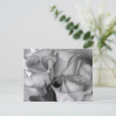 Carte Postale Roses noires et blanches (Debout devant)