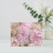 Carte Postale Roses romantiques (Debout devant)