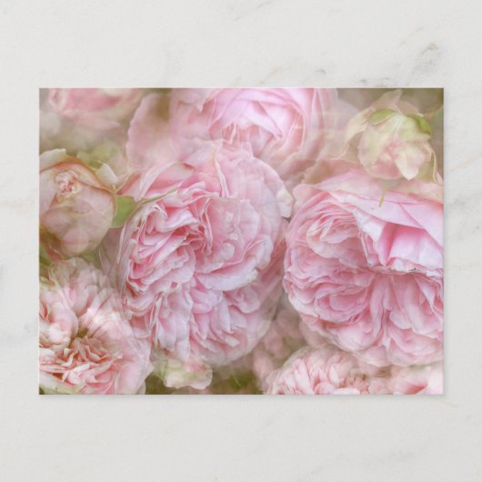 Carte Postale Roses romantiques (Devant)