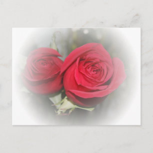 Carte Postale Roses romantiques rouges douces