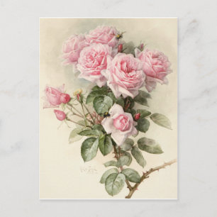 Carte Postale Roses Romantiques Victoriennes Vintage