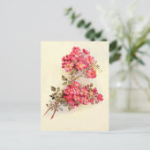 Carte Postale Roses romantiques Vintages roses (Debout devant)