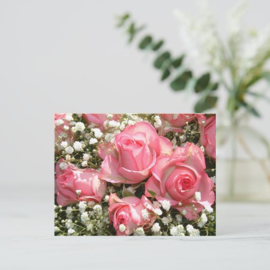 Carte Postale Roses rose | (Debout devant)