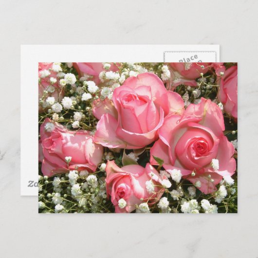 Carte Postale Roses rose | (Devant / Derrière)