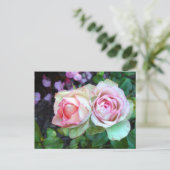 Carte postale Roses roses (Debout devant)