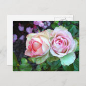 Carte postale Roses roses (Devant / Derrière)