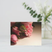 Carte Postale Roses roses (Debout devant)