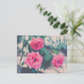 Carte Postale Roses roses (Debout devant)